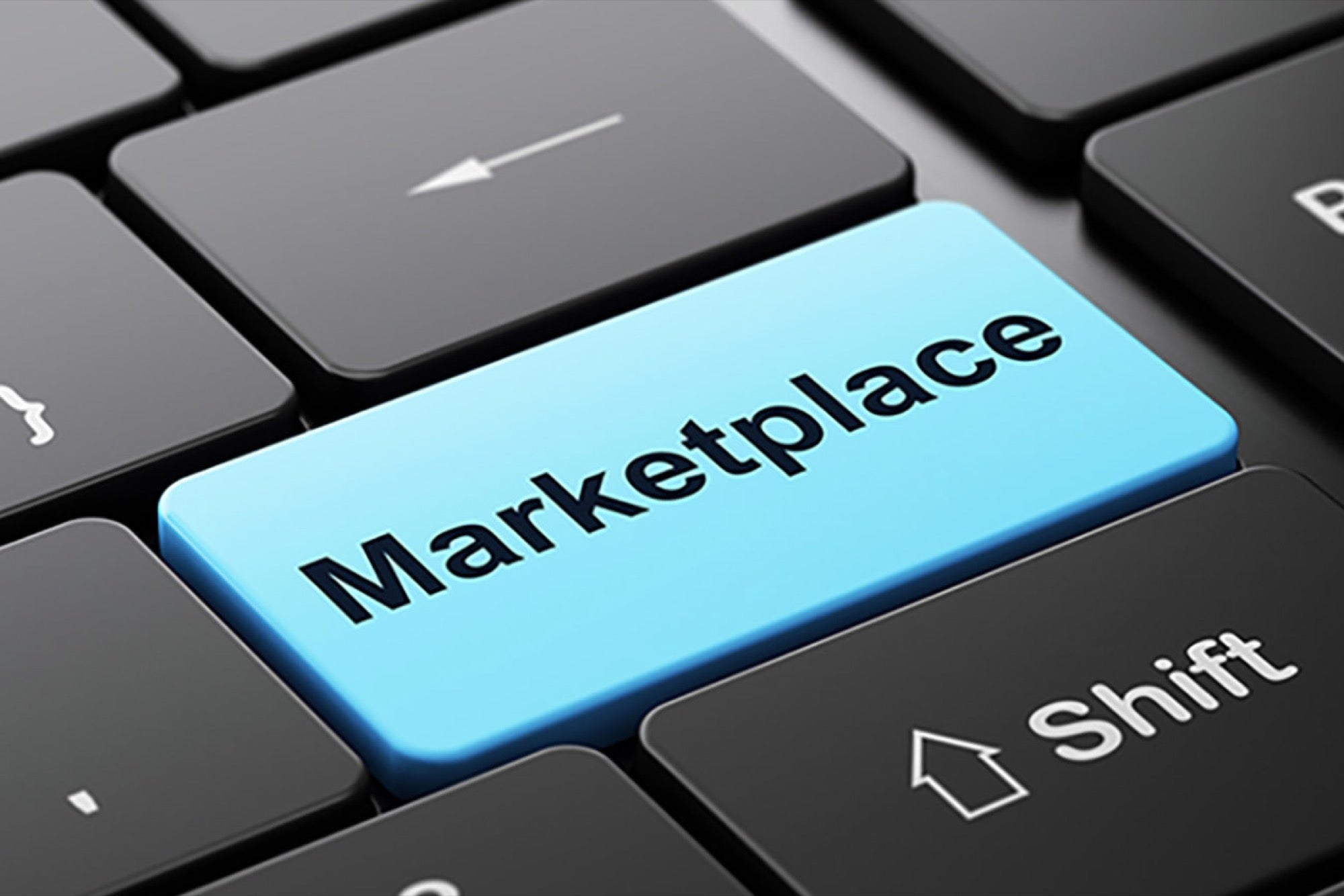 Marketplace vertical o de nicho.